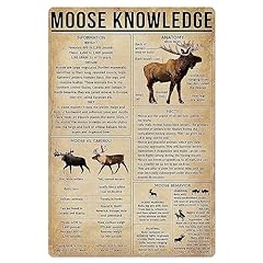 Moose knowledge metal for sale  Delivered anywhere in USA 