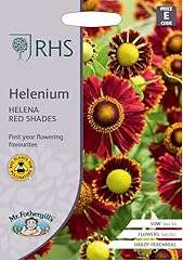 Fothergill rhs helenium for sale  Delivered anywhere in Ireland