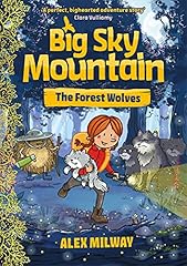 Big sky mountain for sale  Delivered anywhere in USA 
