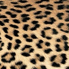 Servietten fell leoparden gebraucht kaufen  Wird an jeden Ort in Deutschland