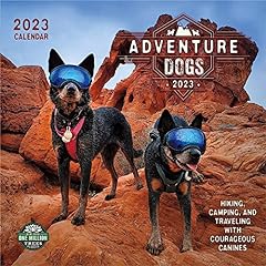 Adventure dogs 2023 for sale  Delivered anywhere in USA 
