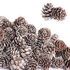 Deloky 150 pcs for sale  Delivered anywhere in USA 