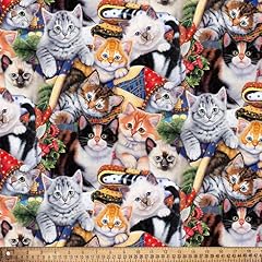 Kittens cat fun for sale  Delivered anywhere in USA 