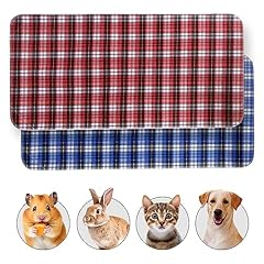 Pet guinea pig for sale  Delivered anywhere in USA 