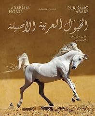 cheval arabe d'occasion  Livré partout en France