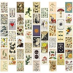 Stück vintage botanical gebraucht kaufen  Wird an jeden Ort in Deutschland