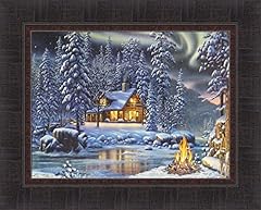 Aurora fire kim for sale  Delivered anywhere in USA 