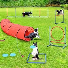 Yitahome dog agility for sale  Delivered anywhere in USA 