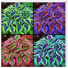 Hostas plants hosta for sale  Delivered anywhere in UK