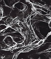 Millipore 044176 lcr gebraucht kaufen  Wird an jeden Ort in Deutschland