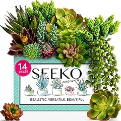 Seeko succulents plants for sale  Delivered anywhere in USA 