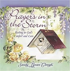 Prayers storm resting for sale  Delivered anywhere in USA 