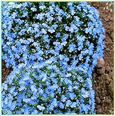 Rare flower plant for sale  Delivered anywhere in USA 