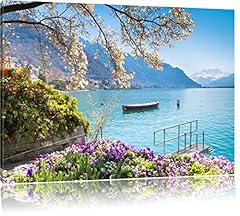 Lac léman soleil d'occasion  Livré partout en France