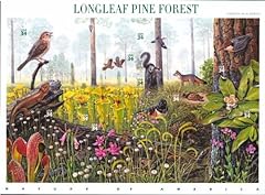 Longleaf pine forest for sale  Delivered anywhere in USA 