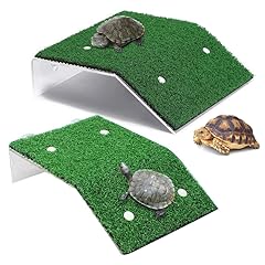 Schildkröten klettern plattfo gebraucht kaufen  Wird an jeden Ort in Deutschland