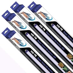Wave point pack for sale  Delivered anywhere in USA 