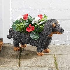 Garden mile dachshund for sale  Delivered anywhere in UK
