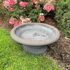 Tierra garden birds for sale  Delivered anywhere in USA 