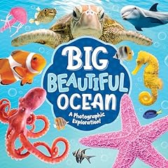 Big beautiful ocean for sale  Delivered anywhere in USA 