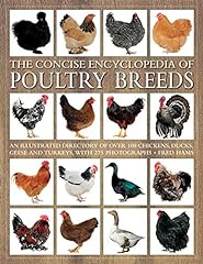 Concise encyclopedia poultry for sale  Delivered anywhere in USA 