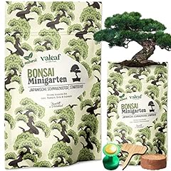 Valeaf bonsai starter gebraucht kaufen  Wird an jeden Ort in Deutschland