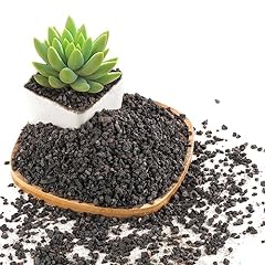 2.4lb black lava for sale  Delivered anywhere in USA 