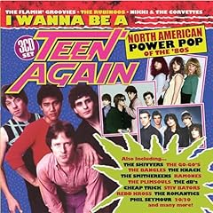 Wanna teen again usato  Spedito ovunque in Italia 