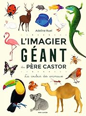 Imagier géant père d'occasion  Livré partout en France