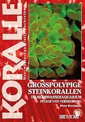 Grosspolypige steinkorallen me gebraucht kaufen  Wird an jeden Ort in Deutschland