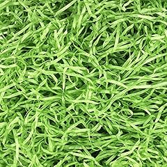 Asekonc easter green for sale  Delivered anywhere in USA 