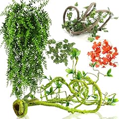 Grddaef reptile vines for sale  Delivered anywhere in USA 