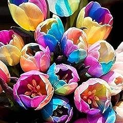 Stück tulpenzwiebeln winterha gebraucht kaufen  Wird an jeden Ort in Deutschland