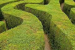 Grow secret garden for sale  Delivered anywhere in UK