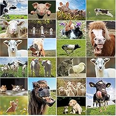 Animali della fattoria usato  Spedito ovunque in Italia 