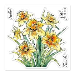 Globleland daffodils plants for sale  Delivered anywhere in UK