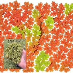 Azolla caroliniana live for sale  Delivered anywhere in USA 