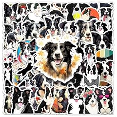 Otysliu border collie for sale  Delivered anywhere in USA 