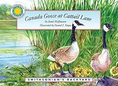 Canada goose cattail d'occasion  Livré partout en France