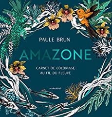 Amazone carnet coloriage d'occasion  Livré partout en Belgiqu