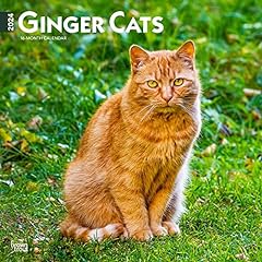 Ginger cats 2024 for sale  Delivered anywhere in USA 
