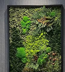 Unique moss wall for sale  Delivered anywhere in USA 