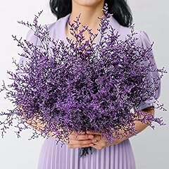 Preserved natural limonium for sale  Delivered anywhere in USA 