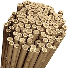 Vialca canne bamboo usato  Spedito ovunque in Italia 