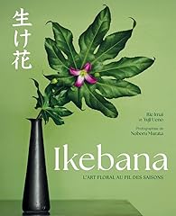 Ikebana art floral d'occasion  Livré partout en France