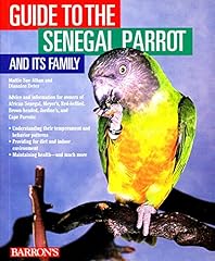 Guide senegal parrot for sale  Delivered anywhere in UK