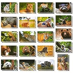 Cartoline animali selvatici usato  Spedito ovunque in Italia 