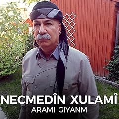 Arami giyanm gebraucht kaufen  Wird an jeden Ort in Deutschland