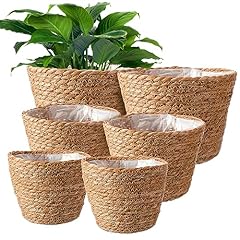 Set seagrass planter for sale  Delivered anywhere in USA 