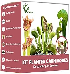 Nopalia kit piante usato  Spedito ovunque in Italia 